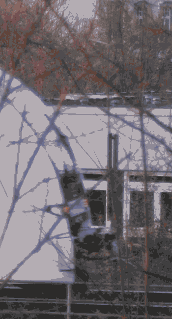 There should be a train video here :'(