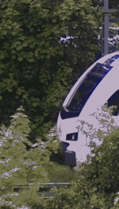 There should be a train video here :'(