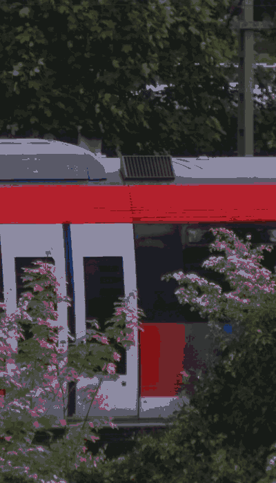 There should be a train video here :'(