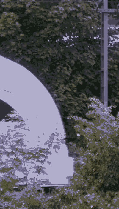 There should be a train video here :'(