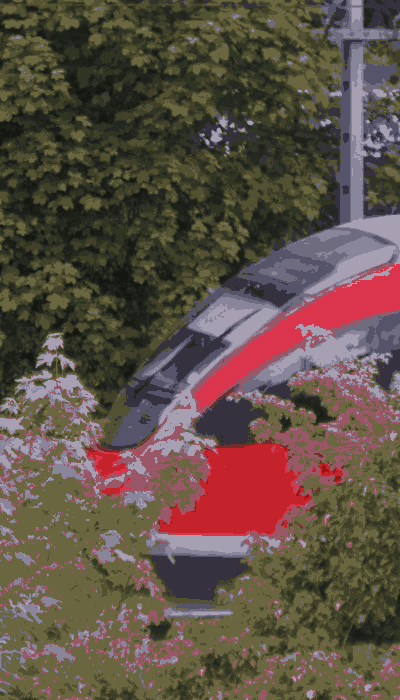 There should be a train video here :'(