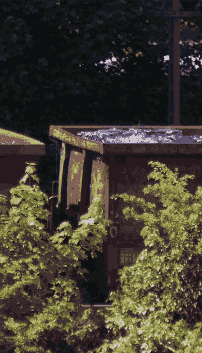 There should be a train video here :'(