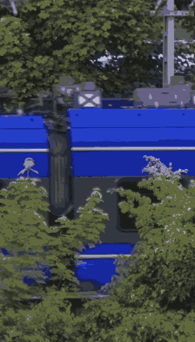 There should be a train video here :'(