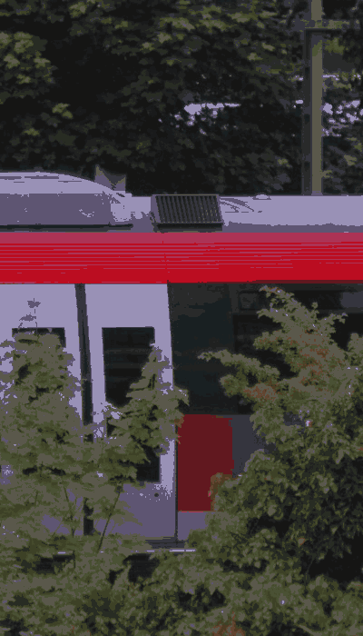 There should be a train video here :'(