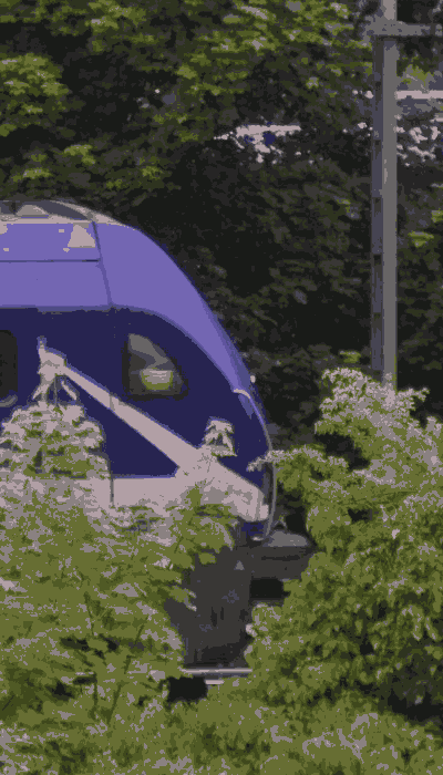 There should be a train video here :'(