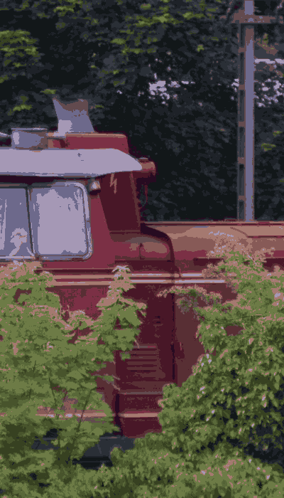 There should be a train video here :'(