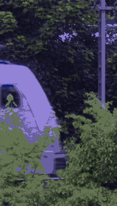There should be a train video here :'(