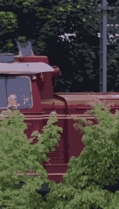 There should be a train video here :'(