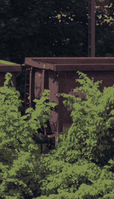 There should be a train video here :'(
