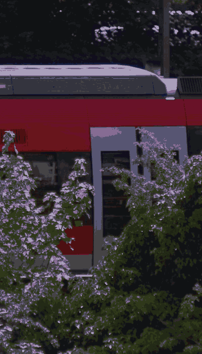 There should be a train video here :'(