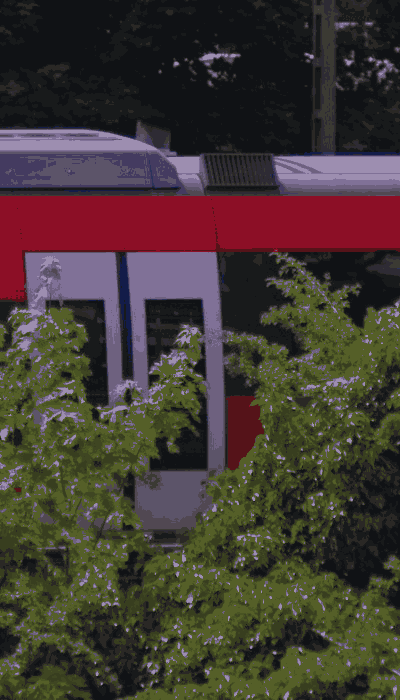 There should be a train video here :'(