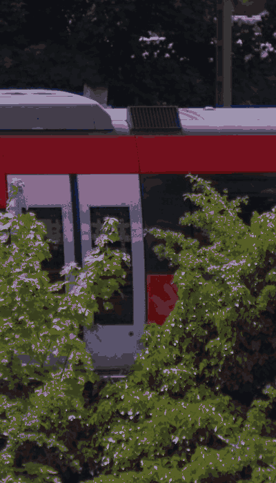 There should be a train video here :'(