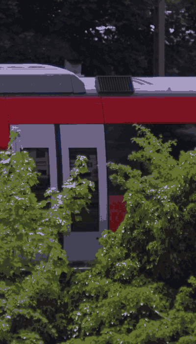 There should be a train video here :'(