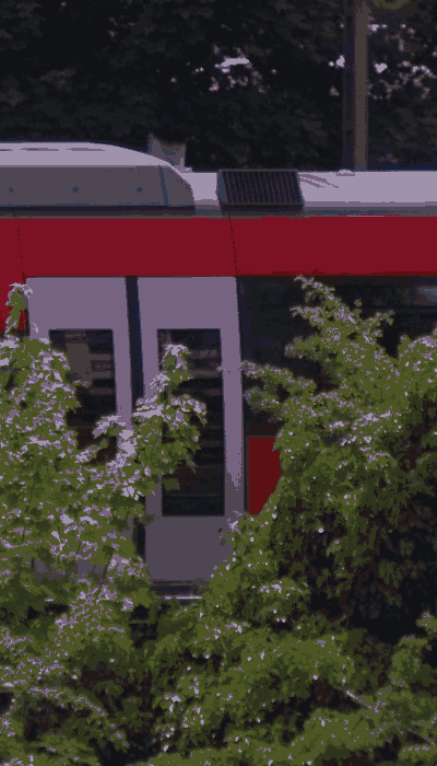 There should be a train video here :'(