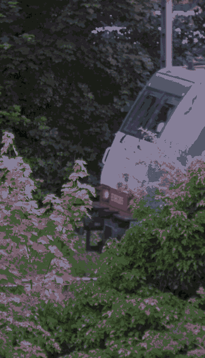 There should be a train video here :'(