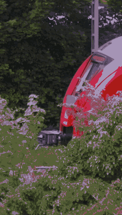 There should be a train video here :'(