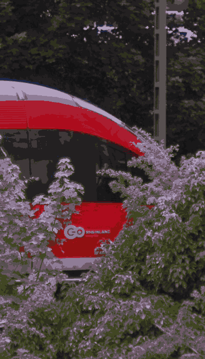 There should be a train video here :'(