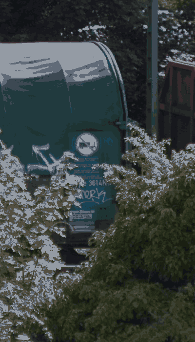 There should be a train video here :'(