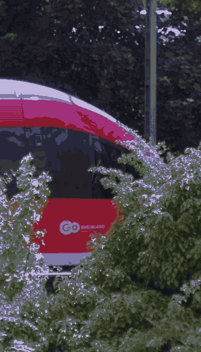 There should be a train video here :'(