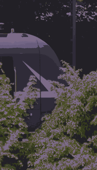 There should be a train video here :'(