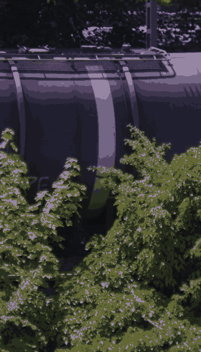 There should be a train video here :'(