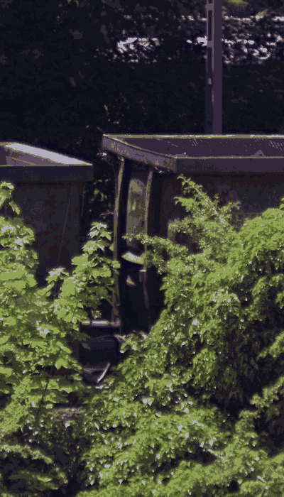 There should be a train video here :'(