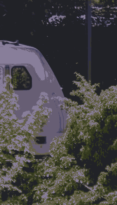 There should be a train video here :'(