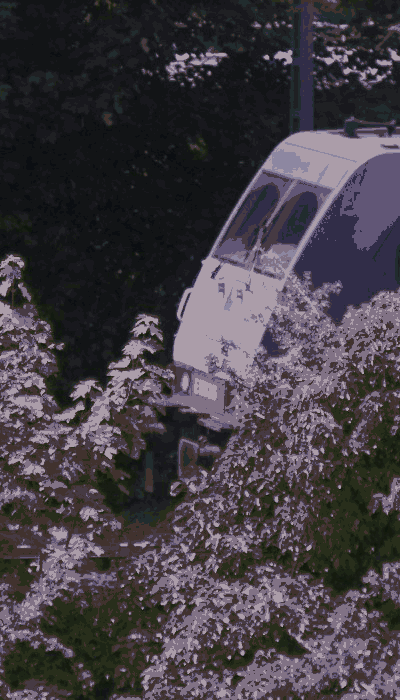 There should be a train video here :'(
