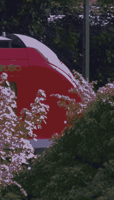 There should be a train video here :'(
