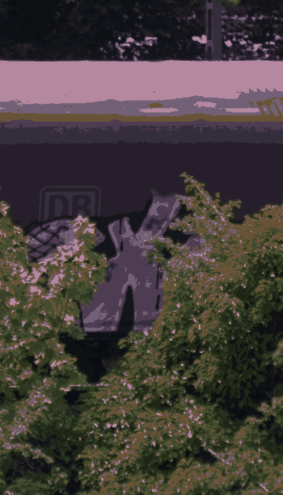 There should be a train video here :'(