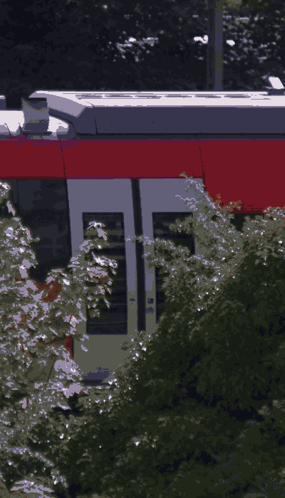 There should be a train video here :'(