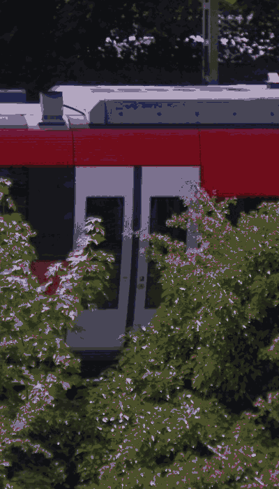 There should be a train video here :'(