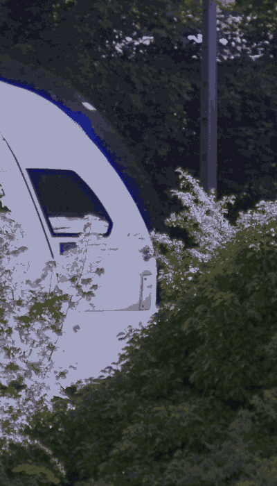 There should be a train video here :'(