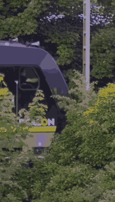 There should be a train video here :'(