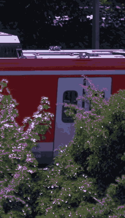 There should be a train video here :'(