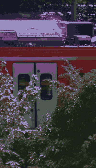 There should be a train video here :'(