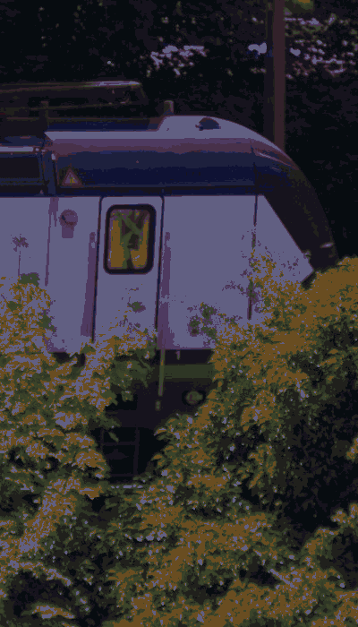 There should be a train video here :'(