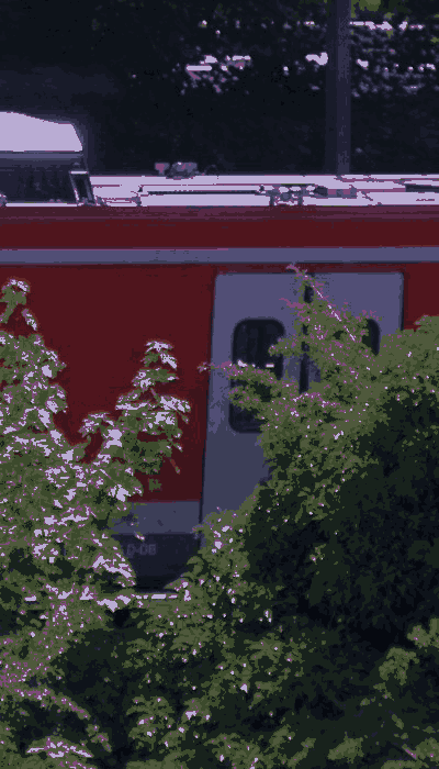 There should be a train video here :'(