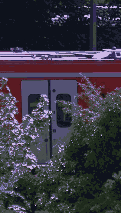 There should be a train video here :'(