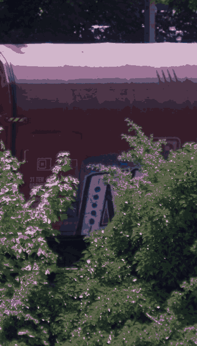 There should be a train video here :'(