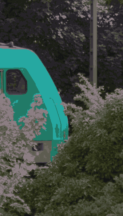 There should be a train video here :'(