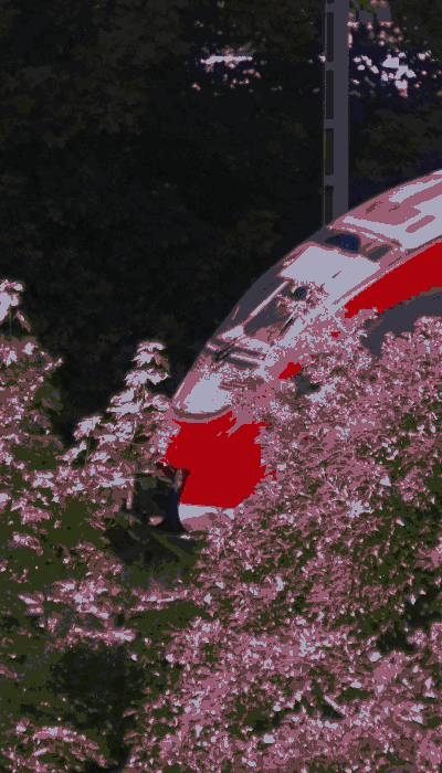 There should be a train video here :'(