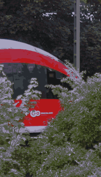 There should be a train video here :'(