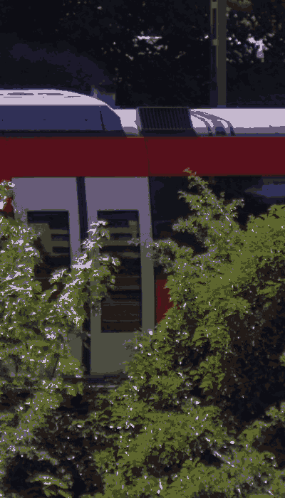 There should be a train video here :'(