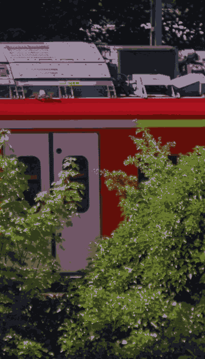 There should be a train video here :'(