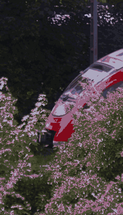 There should be a train video here :'(