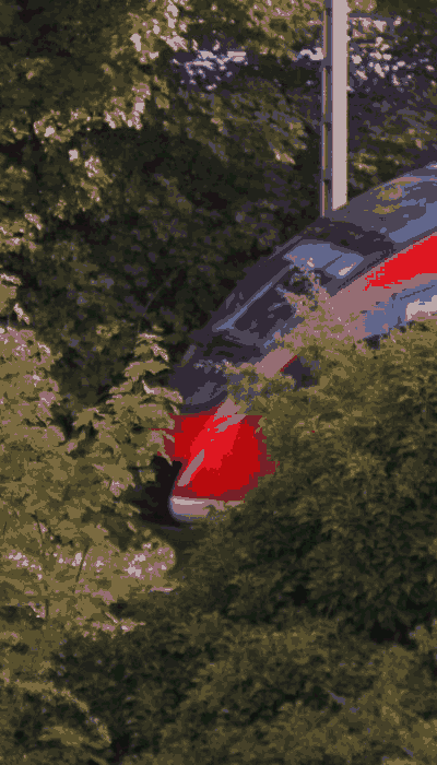 There should be a train video here :'(