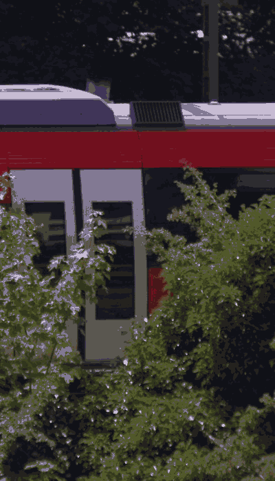 There should be a train video here :'(