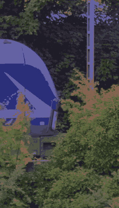 There should be a train video here :'(