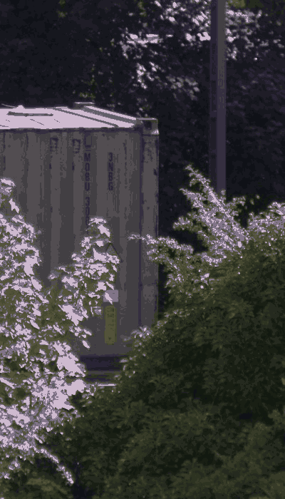 There should be a train video here :'(